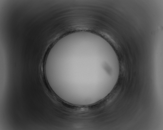 X0000098100398200804040750