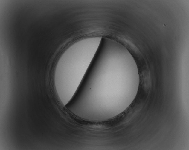 X0000098100400200804040750