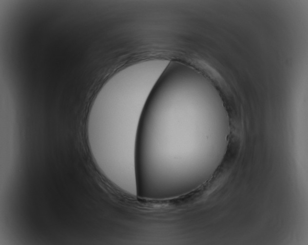 X0000098100401200804040750