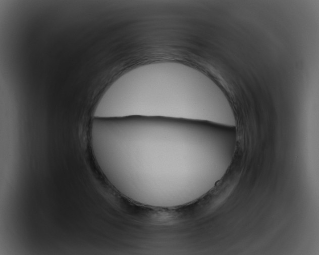 X0000098100402200804040750