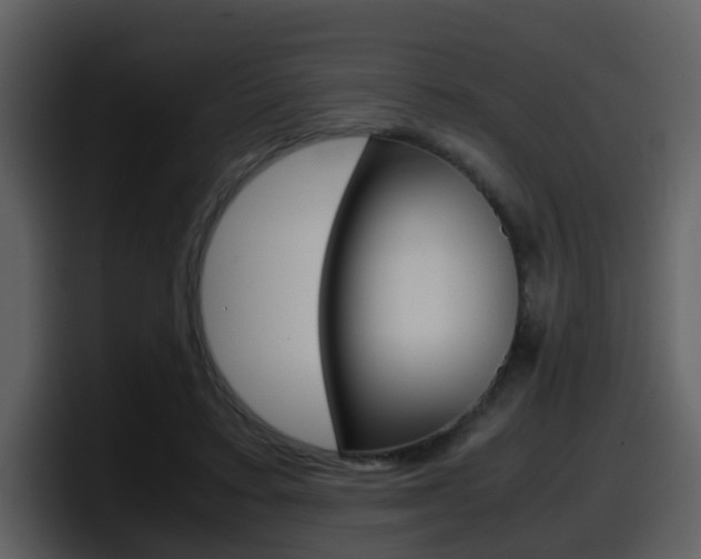 X0000098100403200804040750
