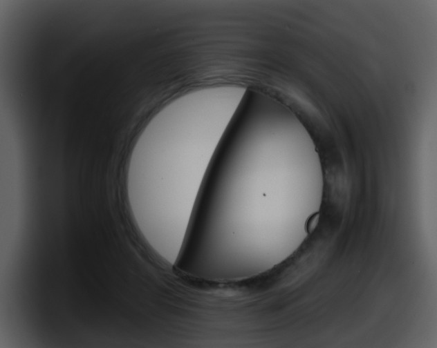 X0000098100404200804040750