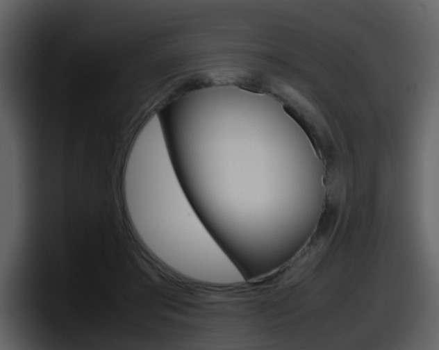 X0000098100405200804040750