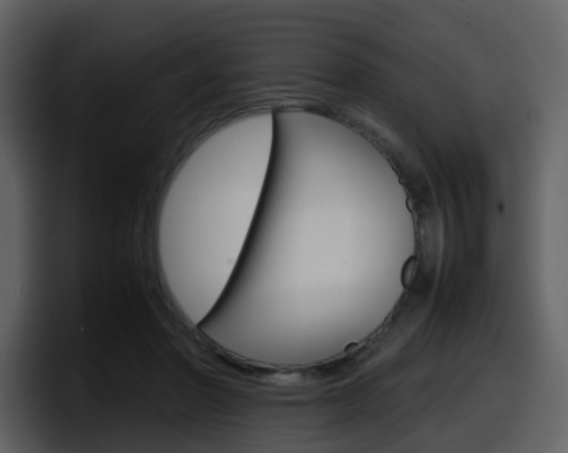 X0000098100406200804040750