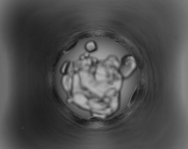 X0000098100409200804040750