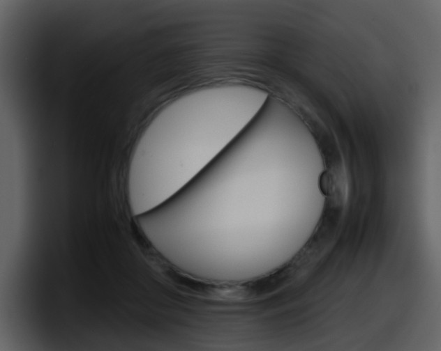 X0000098100410200804040750