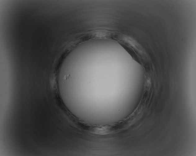 X0000098100411200804040750