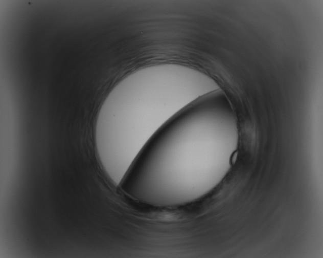 X0000098100412200804040750