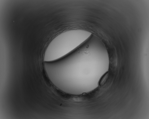 X0000098100416200804040750