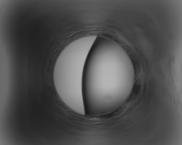 X0000098100417200804040750