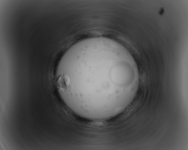 X0000098100418200804040750