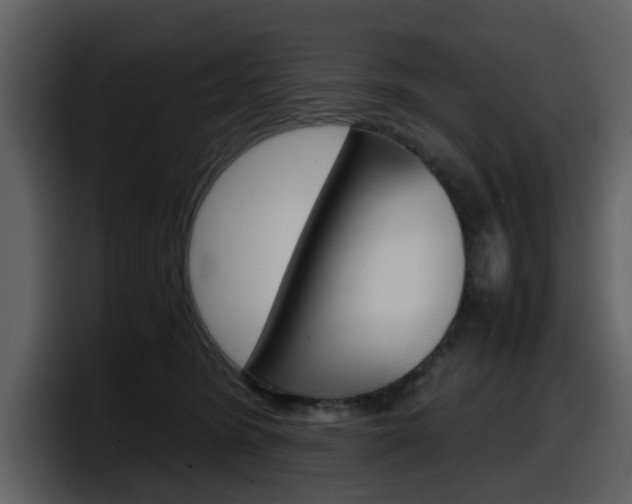 X0000098100420200804040750