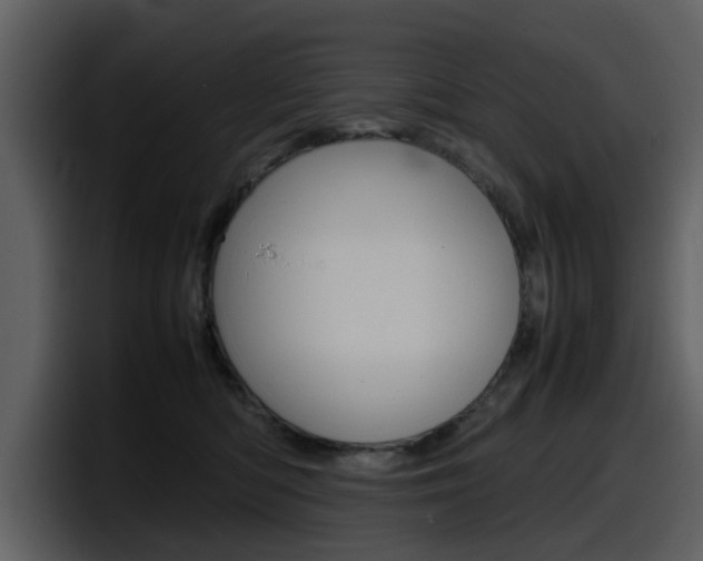 X0000098100422200804040750