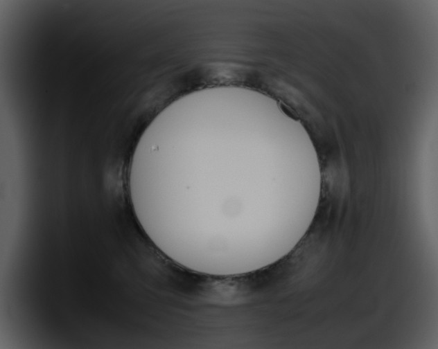 X0000098100423200804040750