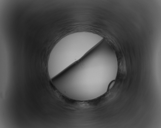X0000098100424200804040750