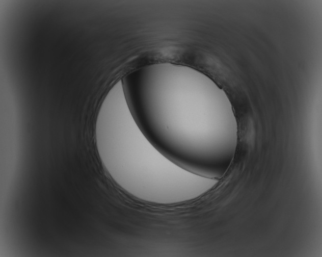 X0000098100425200804040750