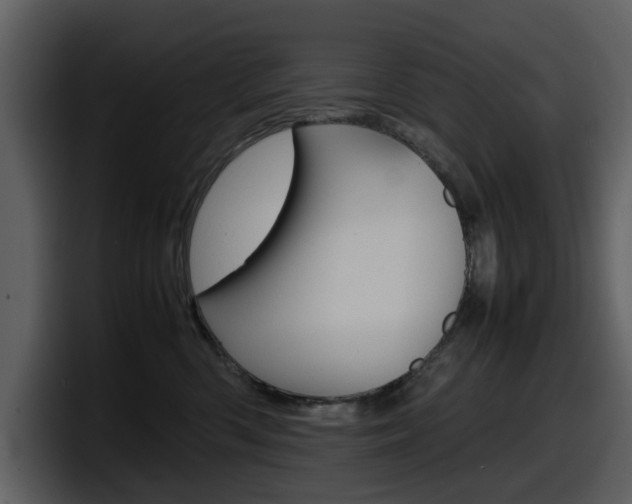 X0000098100426200804040750