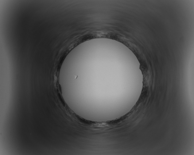 X0000098100427200804040750