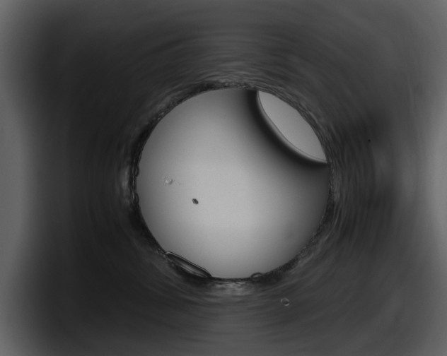 X0000098100428200804040750