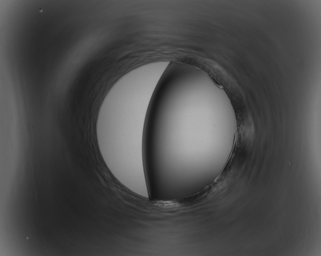 X0000098100429200804040750