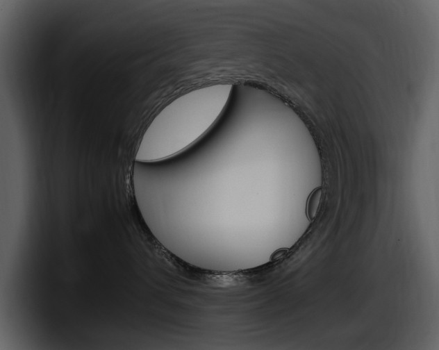 X0000098100432200804040750