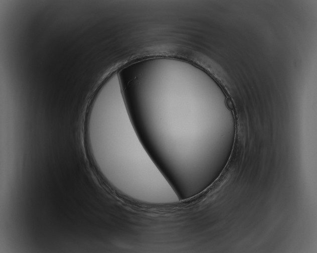 X0000098100434200804040749