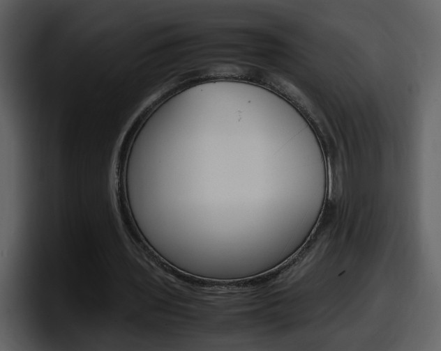 X0000098100435200804040749