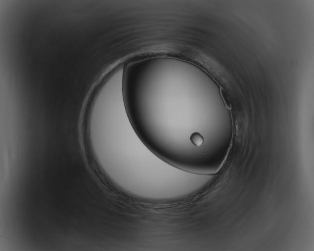 X0000098100436200804040749