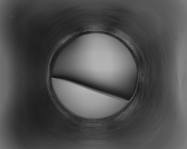 X0000098100437200804040749