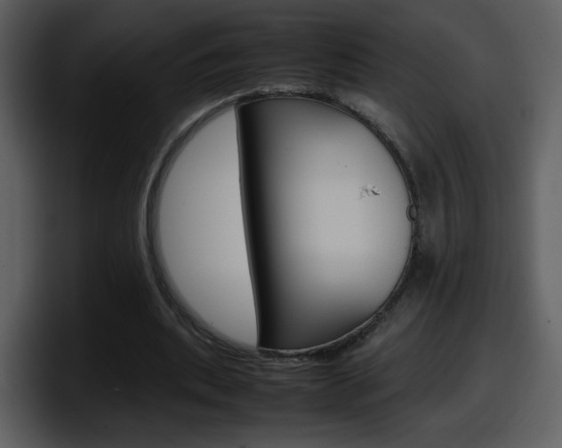 X0000098100439200804040749