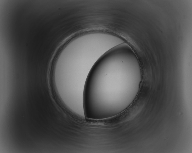 X0000098100440200804040749
