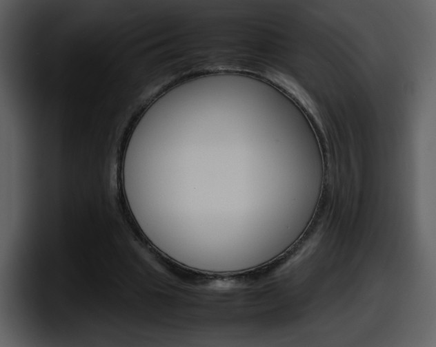 X0000098100441200804040749