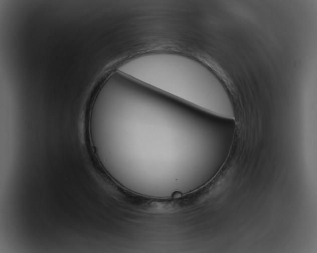 X0000098100442200804040749