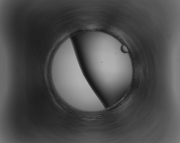 X0000098100443200804040749