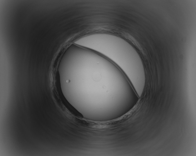 X0000098100444200804040749