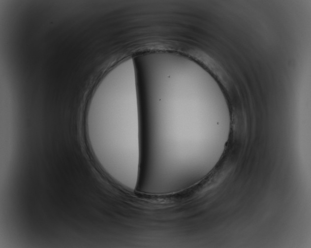 X0000098100445200804040749