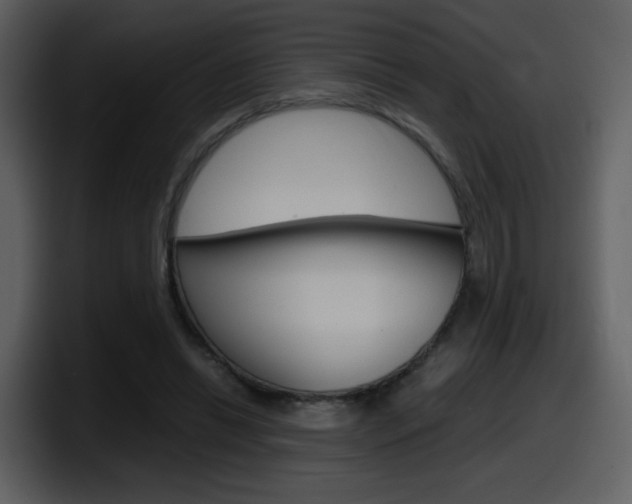 X0000098100446200804040749