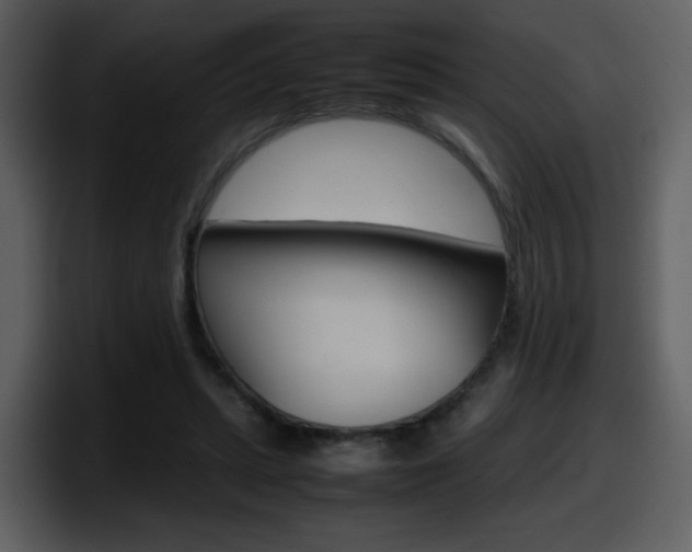 X0000098100447200804040749