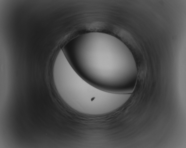 X0000098100448200804040749