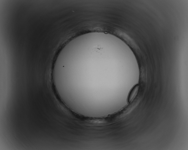 X0000098100449200804040749