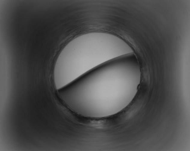 X0000098100450200804040749