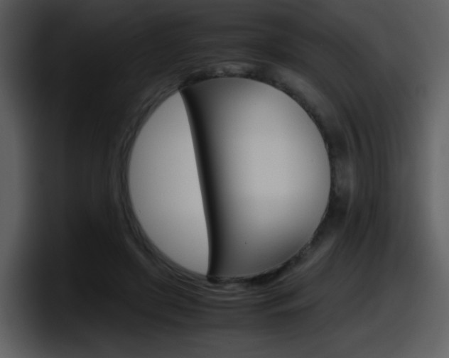 X0000098100451200804040749
