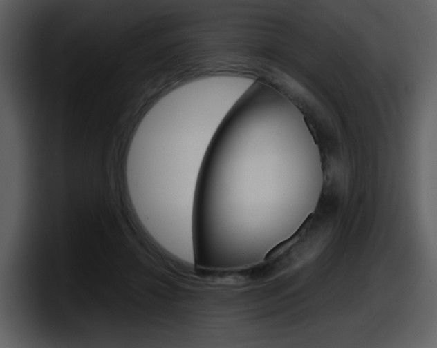 X0000098100452200804040749