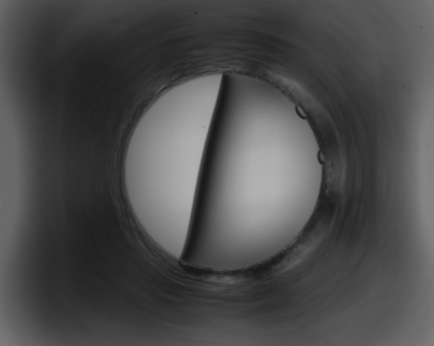 X0000098100453200804040749
