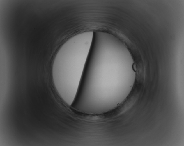 X0000098100454200804040749