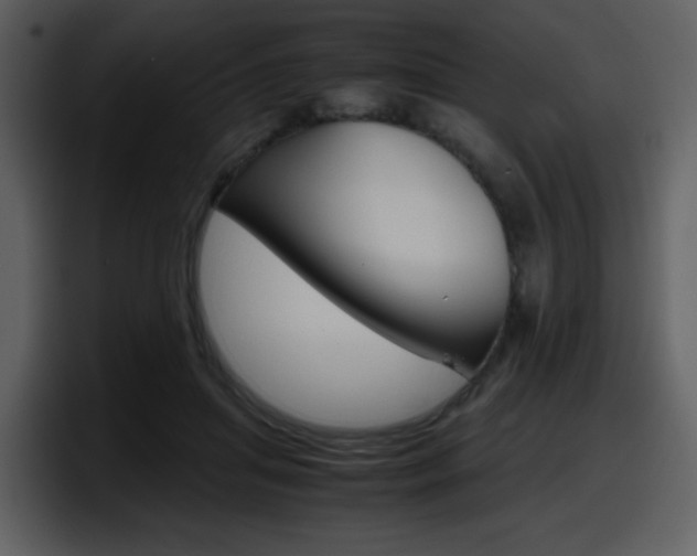 X0000098100455200804040749