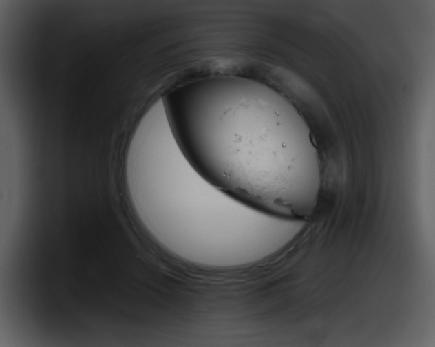 X0000098100456200804040749