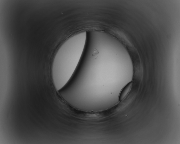 X0000098100457200804040749
