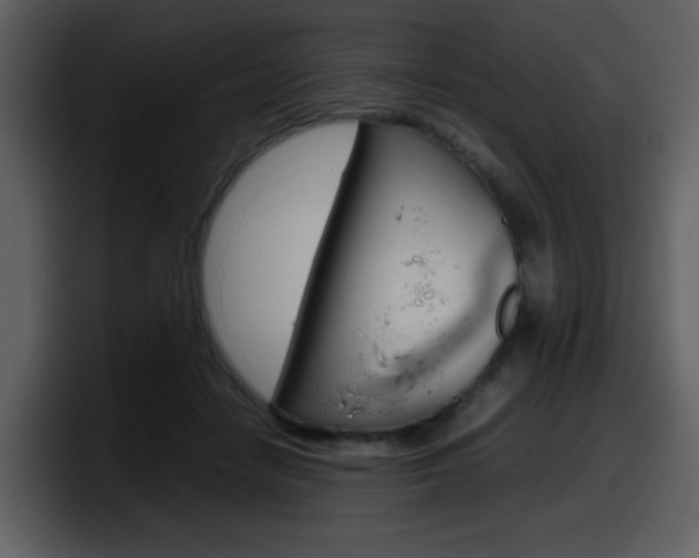 X0000098100458200804040750
