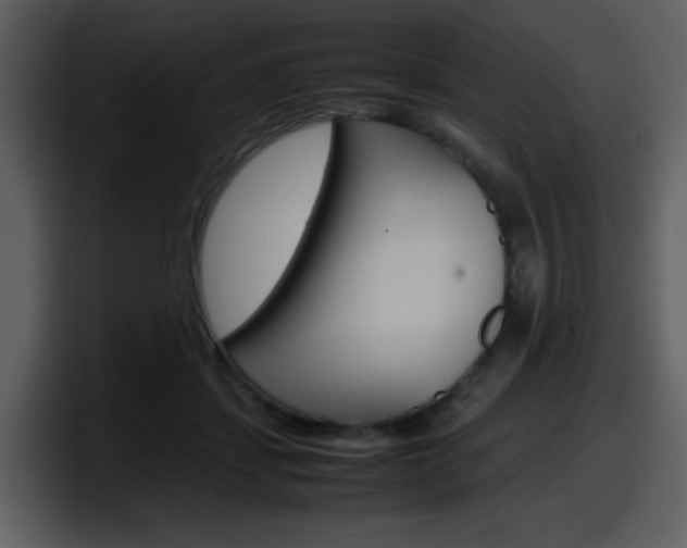 X0000098100459200804040750